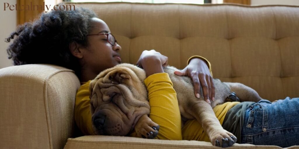 When One Dog Dies Does the Other Grieve