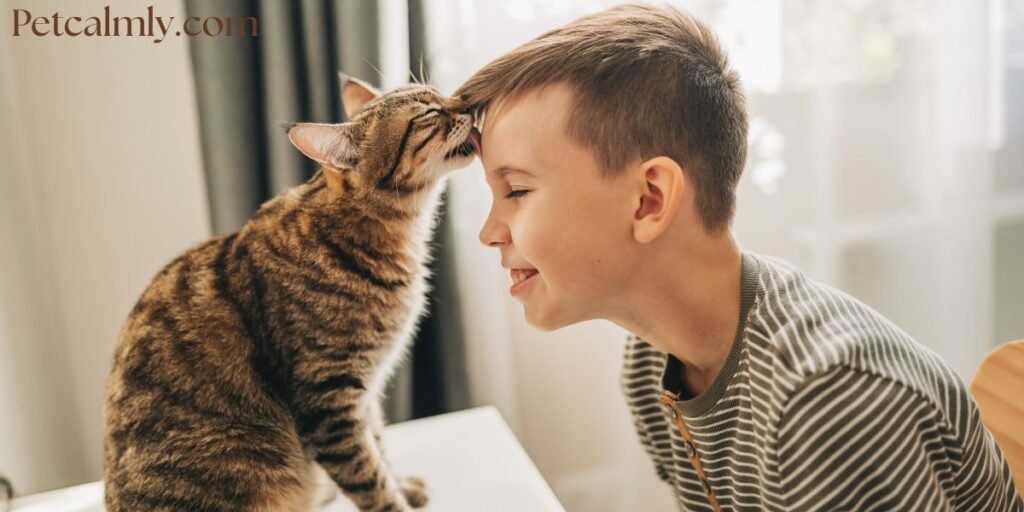 Why Does My Cat Lick My Nose When I Sleep