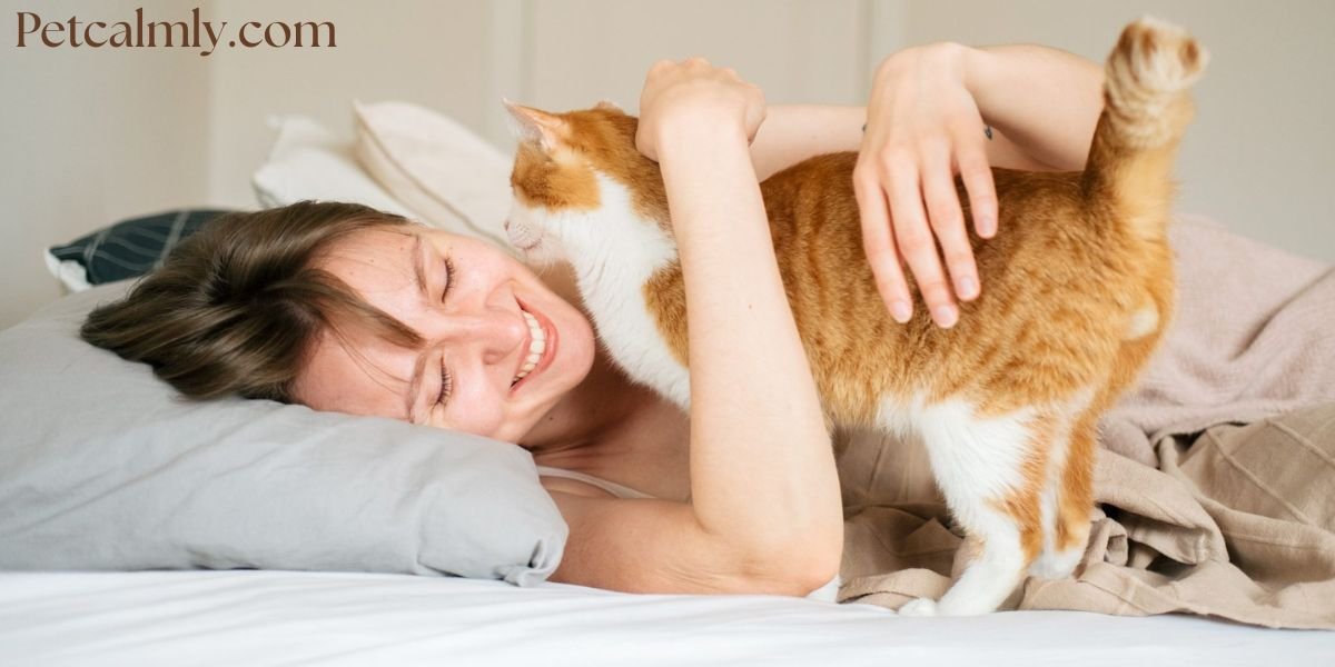 Why Does My Cat Lick My Nose When I Sleep: Top 9 Reasons
