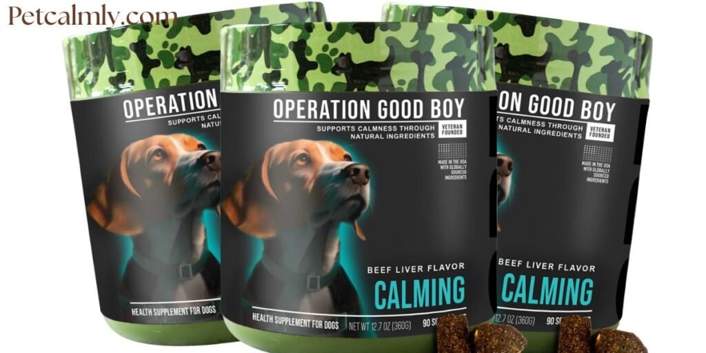 Best Calming Treats for Dogs With Separation Anxiety