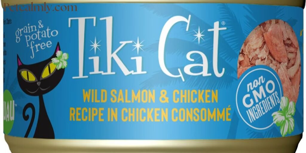 Best Cat Food for Indoor Cats with Sensitive Stomachs