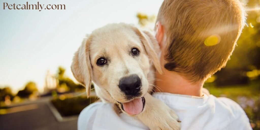 How Do I Become My Dog's Favorite Person?