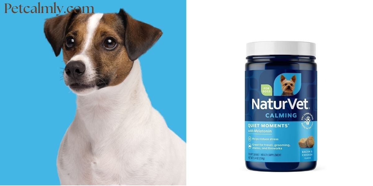 NaturVet Quiet Moments Calming Aid Dog Supplement: Natural Stress Relief