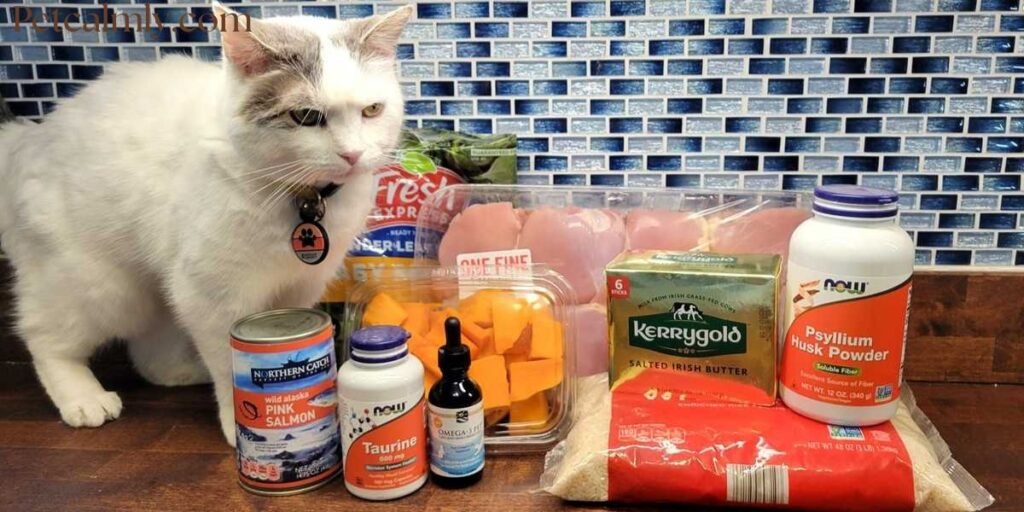 Homemade Cat Treats Recipes Vet Approved