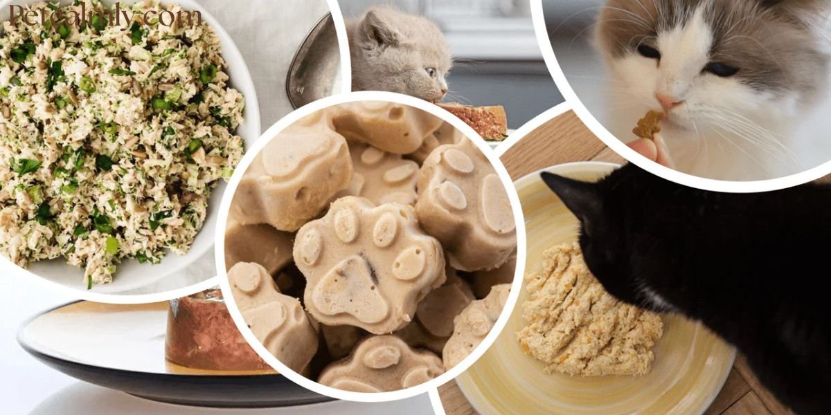 Homemade Cat Treats Recipes Vet Approved
