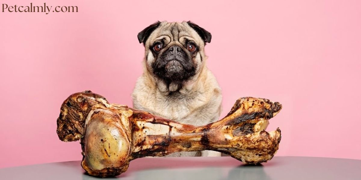 Worst Dental Chews for Dogs