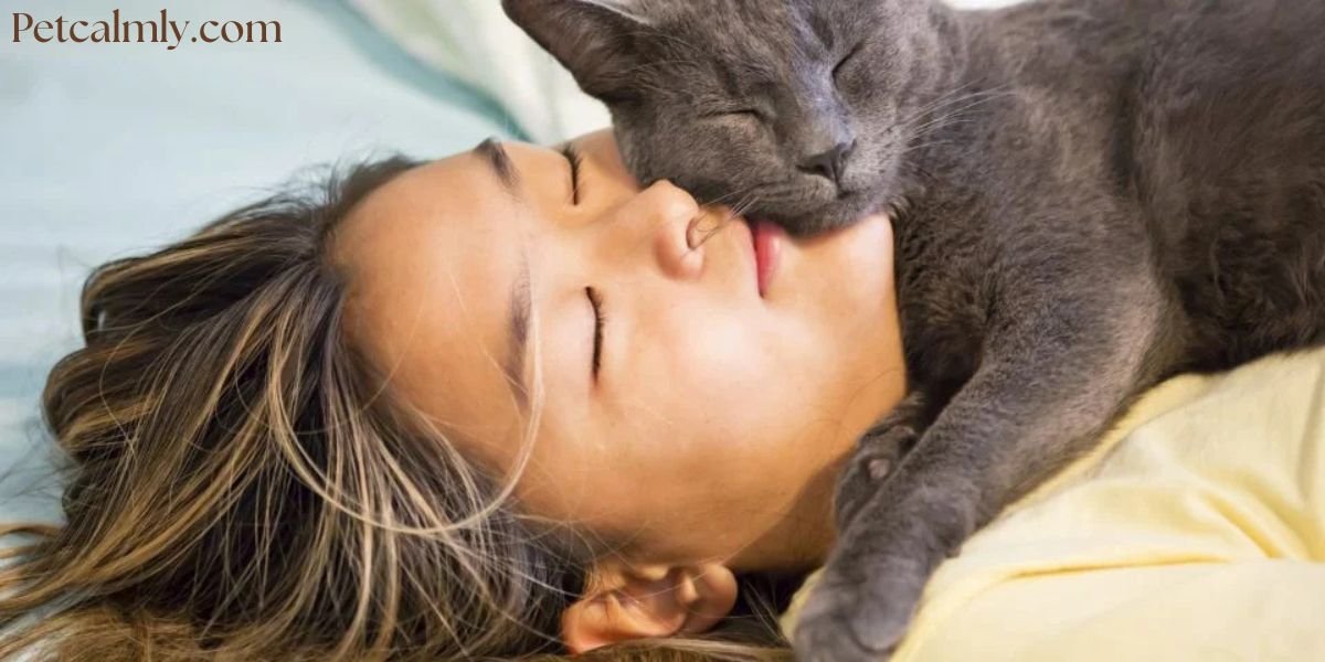 why does my cat stare at me while i sleep?