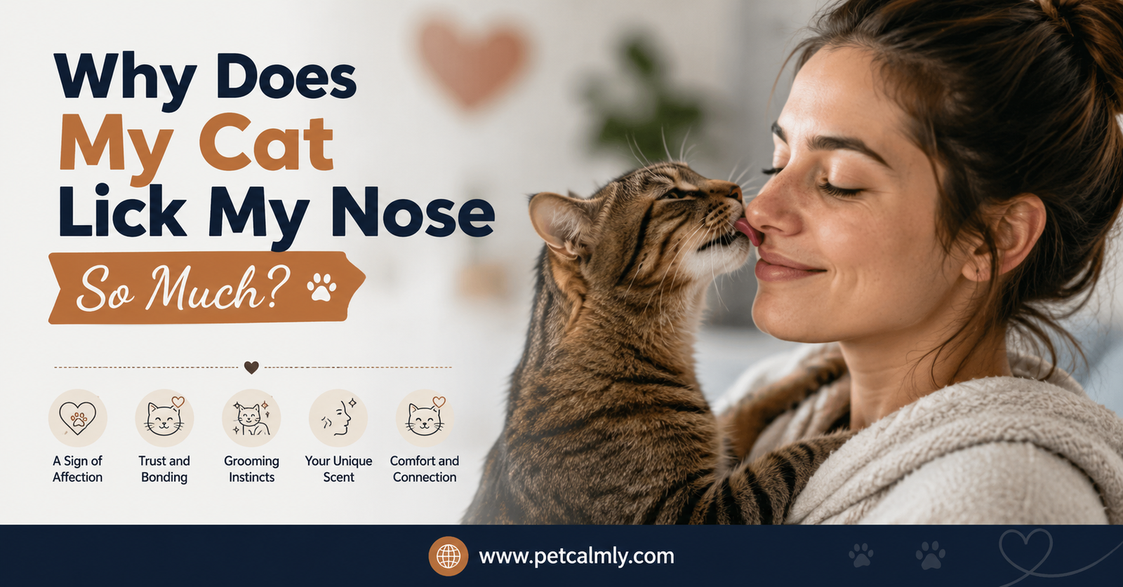 Why Does My Cat Lick My Nose