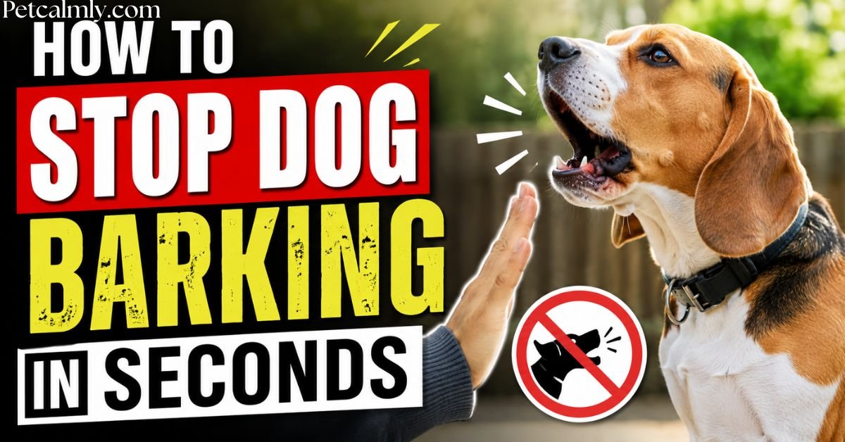How to Stop Dog Barking in Seconds