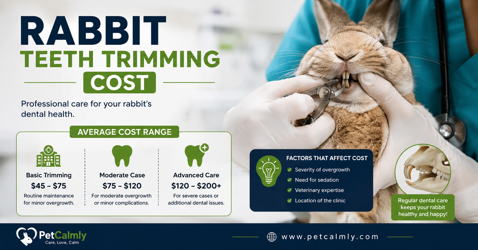 Rabbit Teeth Trimming Cost