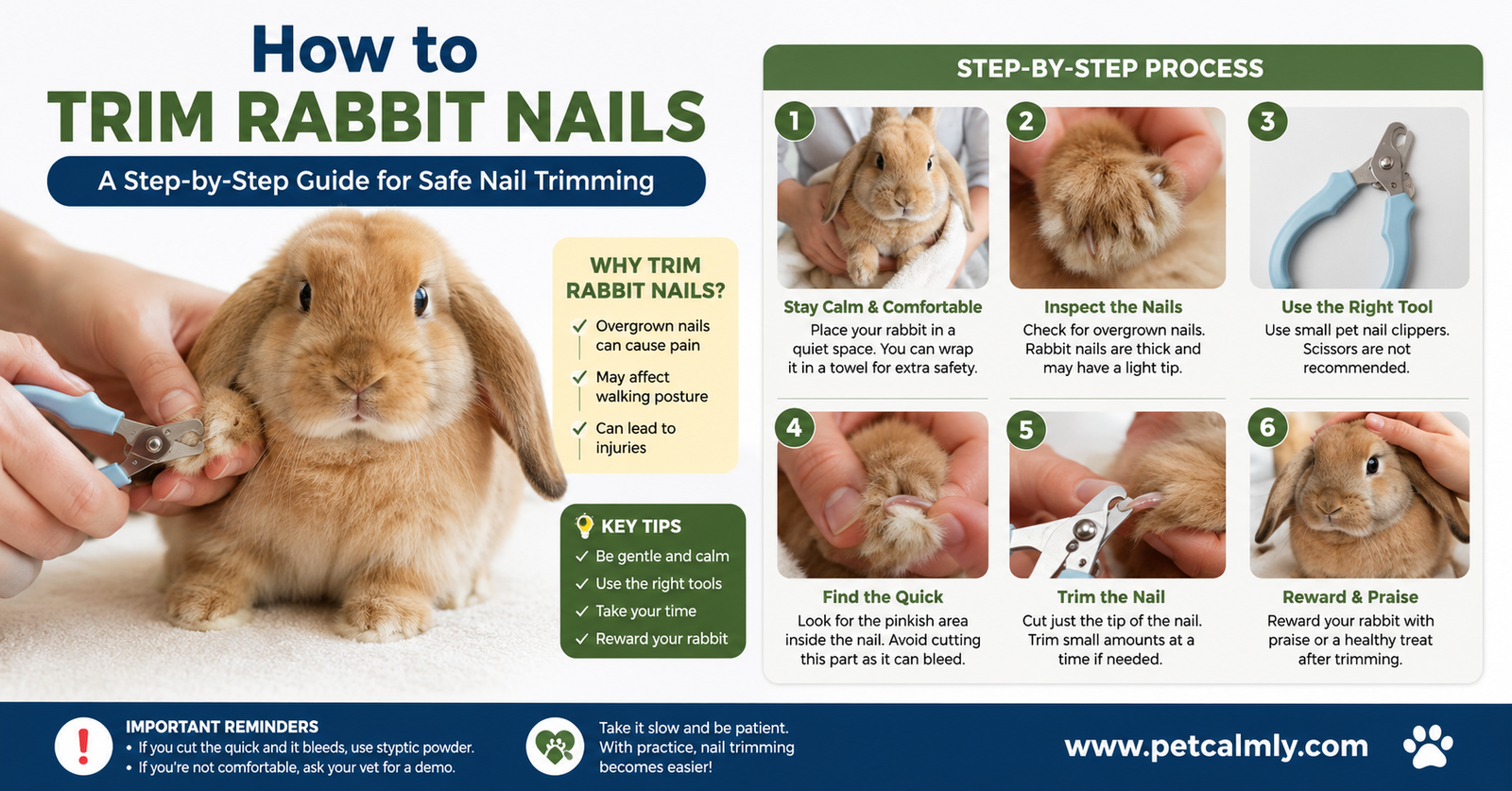 How to Trim Rabbit Nails