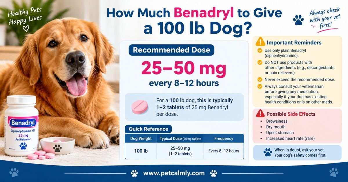How Much Benadryl to Give a 100 Lb Dog